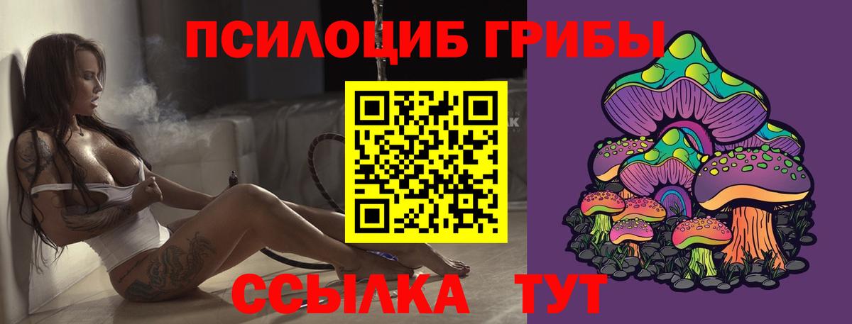 Псилоцибиновые грибы GOLDEN TEACHER  Вход с VPN  Ахтубинск 